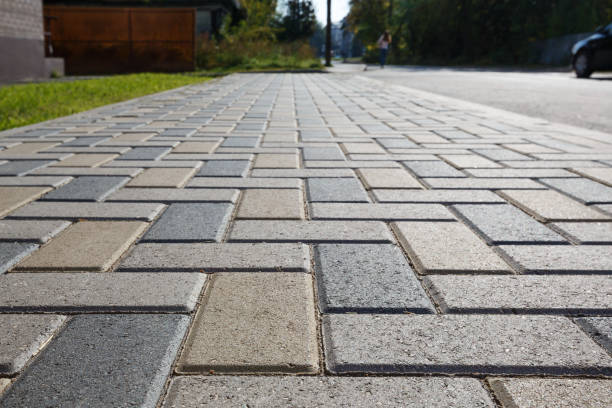 Best Local Driveway Pavers  in Zuni Pueblo, NM