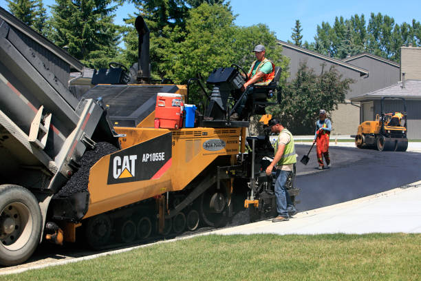 Best Professional Driveway Pavers  in Zuni Pueblo, NM